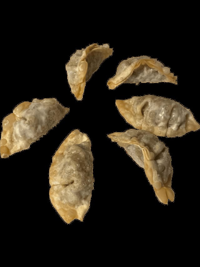 Gyoza Dumplings.